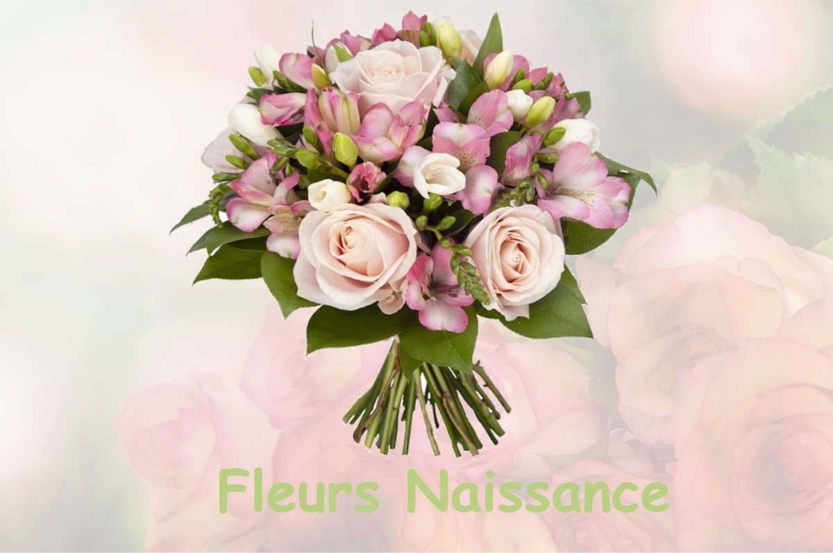fleurs naissance LA-NEUVILLE-SIRE-BERNARD