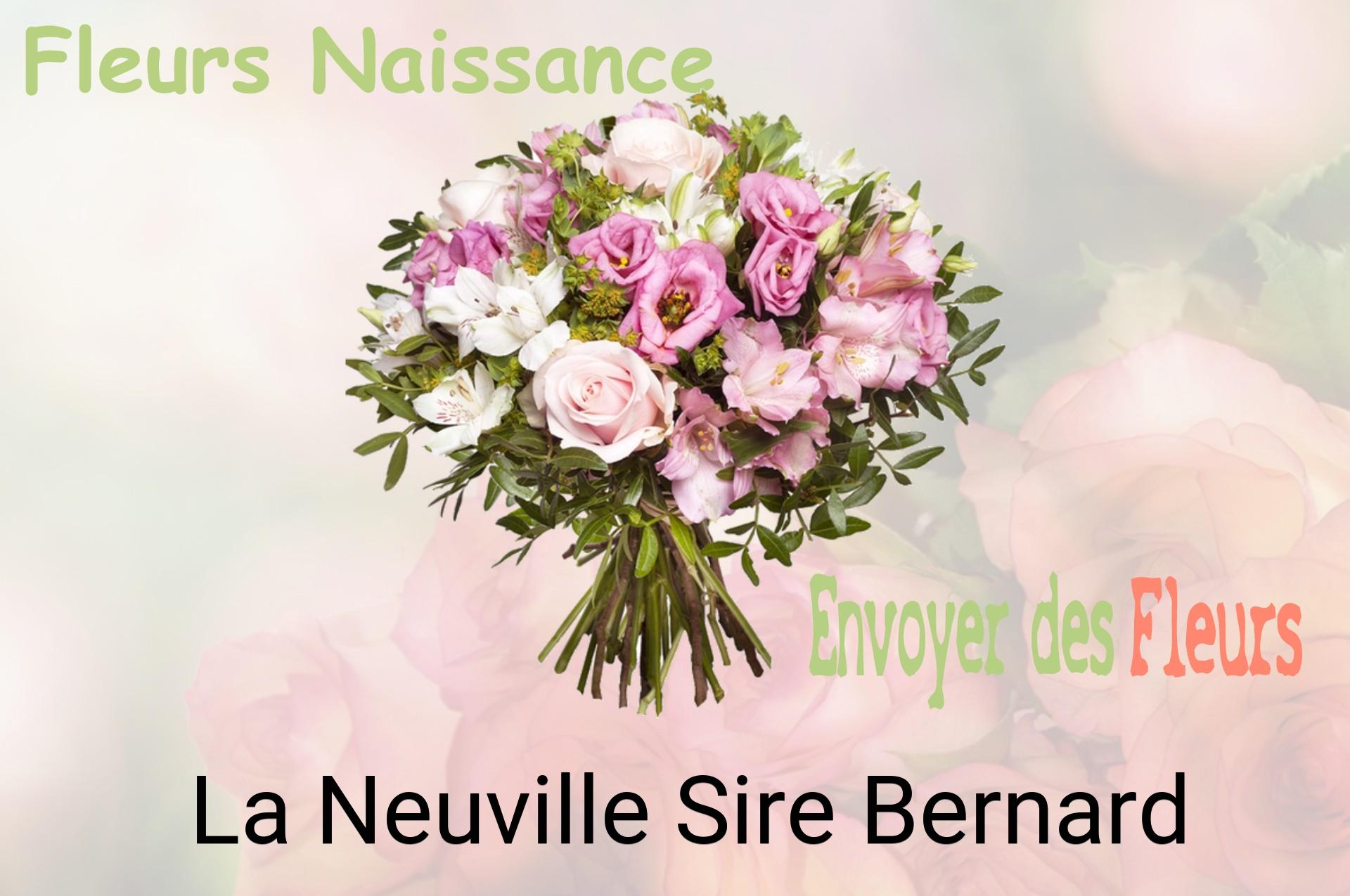 Bouquet de fleurs de naissance livré à La Neuville-Sire-Bernard